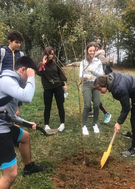 Gruppo di sei studenti di entrambi i sessi condivide attività ecologiche piantumando un giovane albero in una radura mediante attrezzi metallici con manico in legno